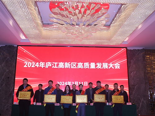 【喜报】英亚体育电气荣获2023年庐江高新区企业高质量发展一等奖！